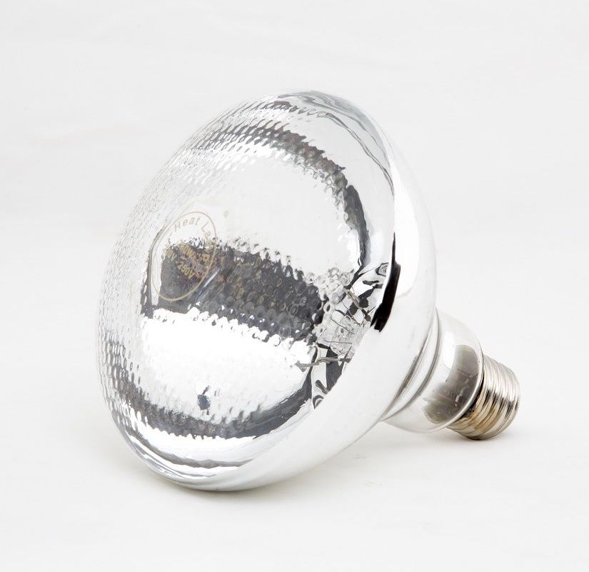 Combisteel Spare Heat Lamp Bulb 250w - 7455.1682 Hanging Food Heat Lamps Combisteel