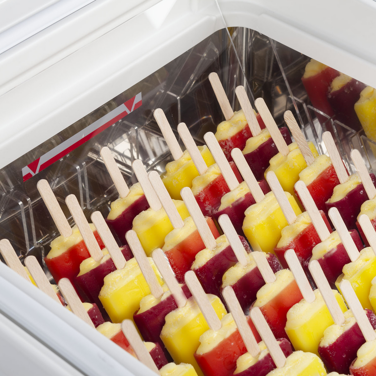 TEFCOLD Freezer for ice cream - ICE2