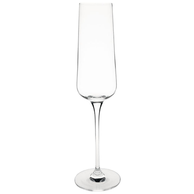 Olympia Claro One Piece Angular Champagne Flute 260ml (Pack of 6) - CS467  Olympia