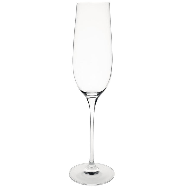 Olympia Campana One Piece Crystal Champagne Flute 260ml (Pack of 6) - CS496  Olympia